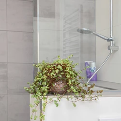 Hoofdbeeld 797 420 (11)