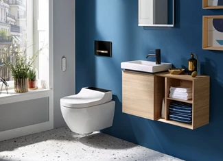 Badenbody Blog Douche Wc Heading
